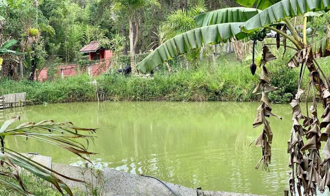 Chacara Recanto Dos Passaros Bairro das Rosas Bagian luar foto